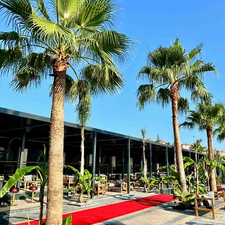 Club Robin Hood 4* ألانيا