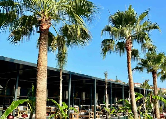 Club Robin Hood 4* ألانيا