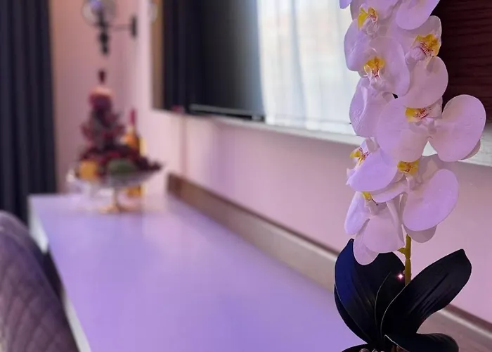 Club Robin Hood 4* ألانيا