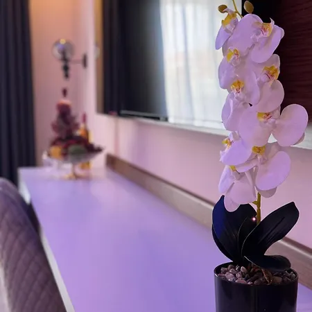 Club Robin Hood 4* Alanya